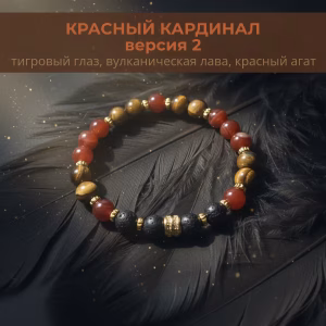 Home КРАСНЫЙ КАРДИНАЛ версия 2